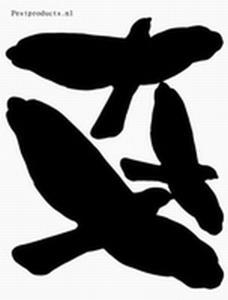 Vogelstickers
